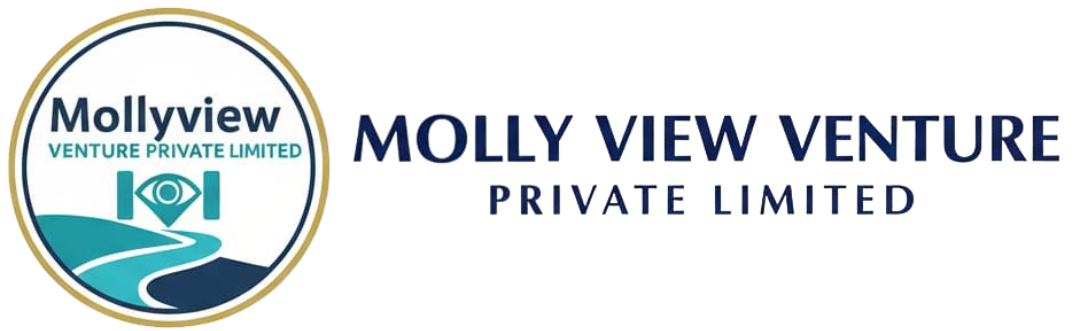 mollyviewventure.com